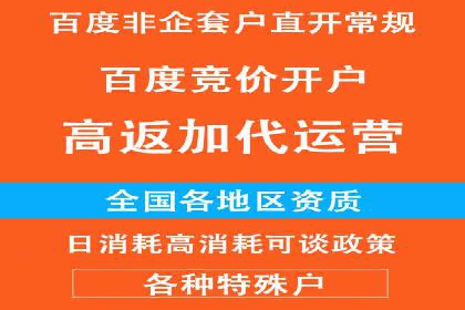 某零售业SEM策略调整，实现销售业绩大增